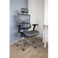 Креслo ERGOSTYLE Sail Aluminium купить в Минске Креслo ERGOSTYLE Sail Aluminium купить в Минске