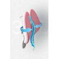 Кресло ортопедическое Everprof Kids 101 Ткань Розовый купить в Минске