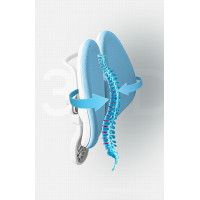 Кресло ортопедическое Everprof Kids 104 синий купить в Минске