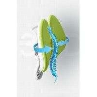 Кресло ортопедическое Everprof Kids 104 зеленый купить в Минске