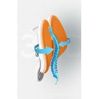 Кресло ортопедическое Everprof Kids 104 оранжевый купить в Минске