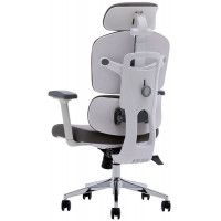 Кресло Evolution DynamicBalance серый купить в Минске