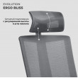 Кресло Evolution ERGO BLISS Black черный купить в Минске