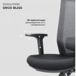 Кресло Evolution ERGO BLISS Black черный купить в Минске
