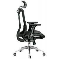 Кресло Evolution FUSION Mesh купить в Минске Кресло Evolution FUSION Mesh купить в Минске