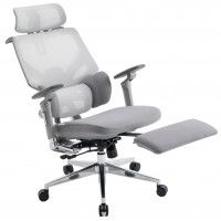 Кресло Evolution LumbarPro Elite серый купить в Минске