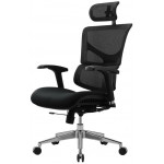 Кресло Evolution Model E