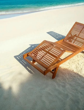 Шезлонг Fieldmann FDZN 4007-T купить в Минске