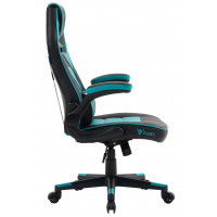 Кресло геймерское FLOKY Asgard Mint черный/мятный купить в Минске