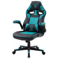 Кресло геймерское FLOKY Asgard Mint черный/мятный купить в Минске