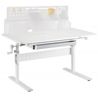 Комплект ученический Smart 100 Plus (парта E603, полка Wooden Space mini, накладка E511)