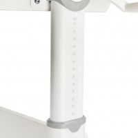 Регулируемая парта для школьника FunDesk Grande купить в Минске