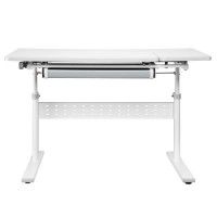 Комплект ученический Smart 100 (парта E603, полка E611, накладка E511) купить в Минске