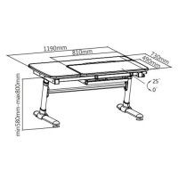 Детская парта Smart E502 с полкой и подставкой для книг купить в Минске