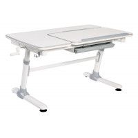 Детская парта Smart E502 с полкой и подставкой для книг купить в Минске