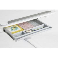 Детская парта Smart E502 с полкой и подставкой для книг купить в Минске