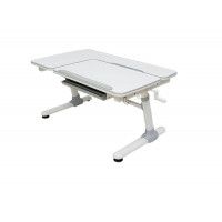 Детская парта Smart E502 с полкой и подставкой для книг купить в Минске