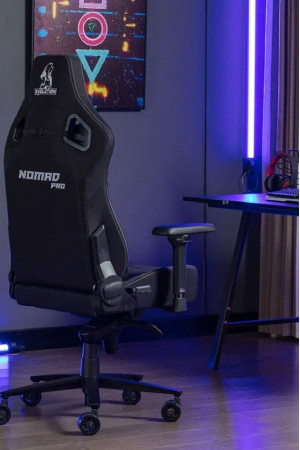 Живые фото Креслo EVOLUTION NOMAD PRO Black/White