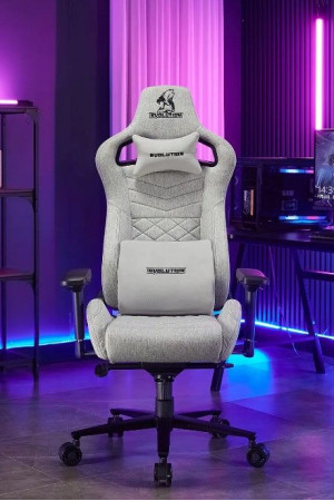 Живые фото Кресло Evolution Conqueror (Конкурер) Grey серый