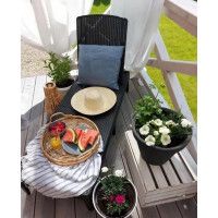 Шезлонг лежак Jaipur графит купить в Минске Шезлонг лежак Jaipur графит купить в Минске