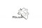 Folium