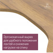  
Цвет: Дуб золотой 