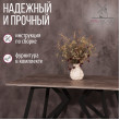  
Цвет: Сосна пасадена
