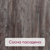 Сосна пасадена 