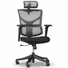 Креслo ERGOSTYLE Sail-E Pro