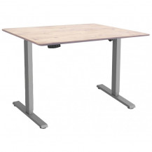 Стол с регулируемой высотой Wooden Electric Desk Slim Grey 120*60*2,7 см (массив дерева) Стол с регулируемой высотой Wooden Electric Desk Slim Grey 120*60*2,7 см (массив дерева)