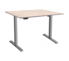 Стол с регулируемой высотой Wooden Electric Desk Slim Grey 120*60*2,7 см (массив дерева)