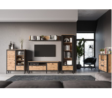 Шкаф Loft REG1D1S/90 92*38.5*120.5 дуб вотан / черный матовый