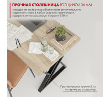 Письменный стол ДОМУС Гранд 120х66 см вяз светлый/черный