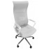 Кресло SitUp Record (Рекорд) White (Light Grey)