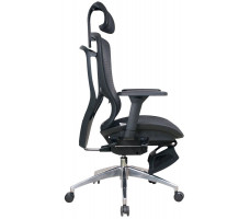 Кресло Evolution ERGO Elite Black черный