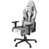 Кресло DXRacer OH/P88/WN белый с черным