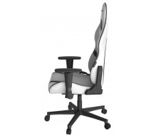 Кресло DXRacer OH/P88/WN белый с черным