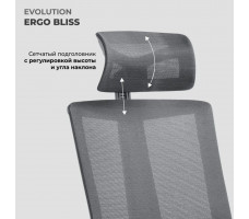 Кресло Evolution ERGO BLISS Black черный