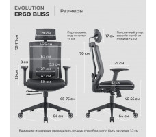 Кресло Evolution ERGO BLISS Black черный