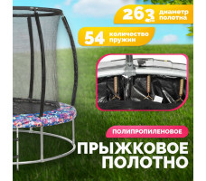Батут Sundays Favorite Premium 10FT (смайл, с сеткой, с лестницей)