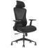 Кресло Evolution OFFICE COMFORT черный