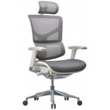 Кресло ERGOSTYLE Sail Aluminium G Кресло ERGOSTYLE Sail Aluminium G