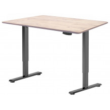 Стол с регулируемой высотой Wooden Electric Desk Light Black 120*60*2,7 см (натуральное дерево) Стол с регулируемой высотой Wooden Electric Desk Light Black 120*60*2,7 см (натуральное дерево)