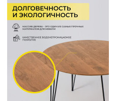 Стол обеденный Демавенд d100*74 дуб натуральный/черный