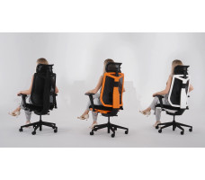 Креслo ERGOSTYLE Elevate Super
