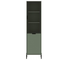 Шкаф Paloma REG1W1D 56*41*202,5 дымчатый зеленый
