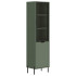 Шкаф Paloma REG1W1D 56*41*202,5 дымчатый зеленый