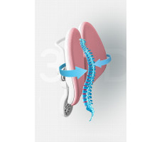 Кресло ортопедическое Everprof Kids 104 розовый