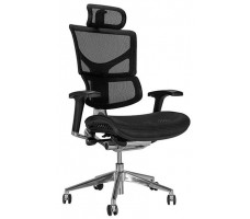 Креслo ERGOSTYLE Sail Aluminium