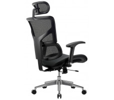 Кресло Evolution Model E